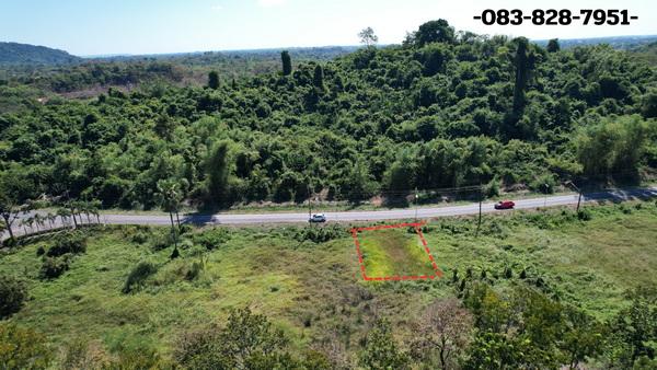 ขายที่ดิน 98 ตารางวา มีโฉนด ต.พรหมณี ติดถนนหลวง วิวเขาชัด ใกล้ รร.จปร. 19