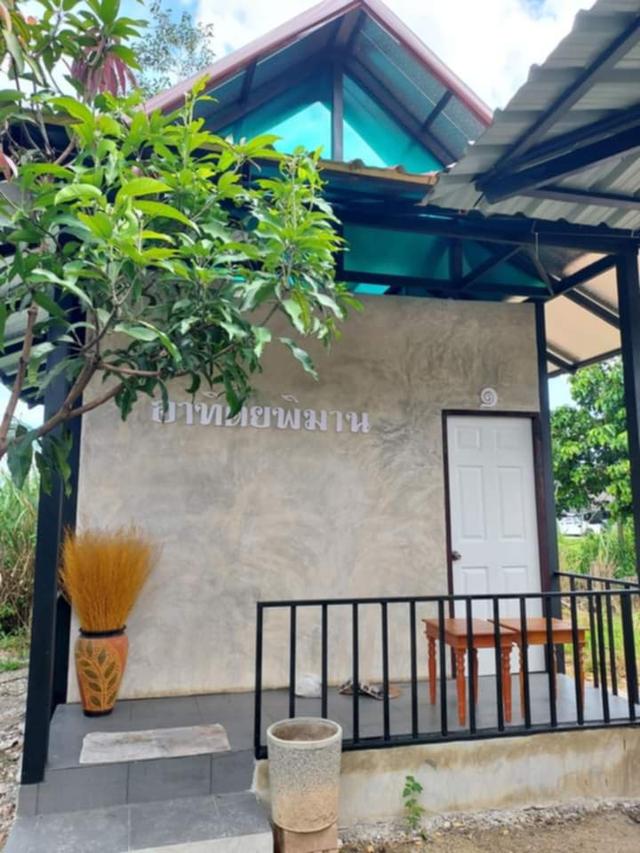 ที่พักฟรีเชียงใหม่ 2