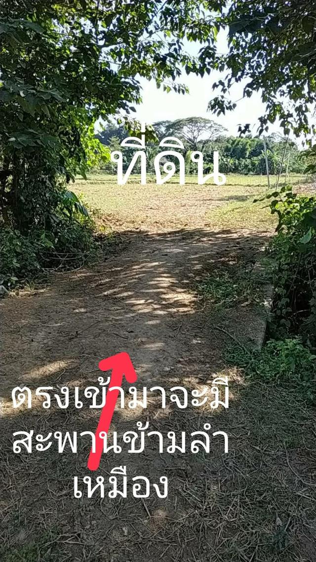 ที่ดิน 5 ไร่ บนดอยอินทนนท์ ติดลำน้ำแม่กลาง จอมทอง เชียงใหม่ ขนาด 5 ไร่ 2 งาน 42 ตร.วา (โฉนด) 5