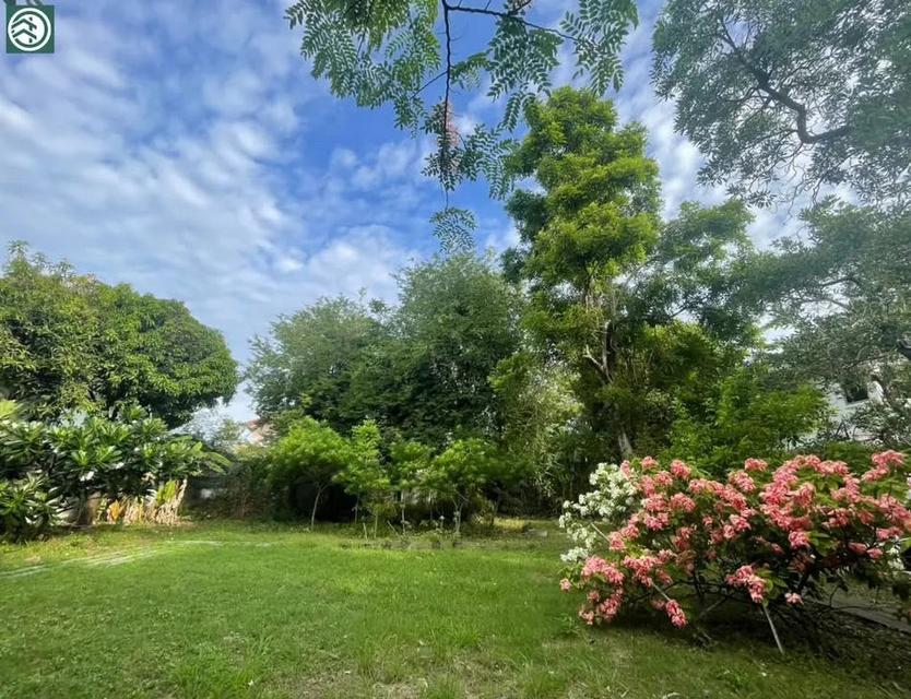 ขายที่ดินเปล่าถมแล้ว 175 ตร.วา ใกล้รถไฟฟ้า 290 เมตร ทำเลดีที่สุดในปากน้ำ สุขุมวิท สมุทรปราการ เจ้าของขายเอง 091-751-3045 1