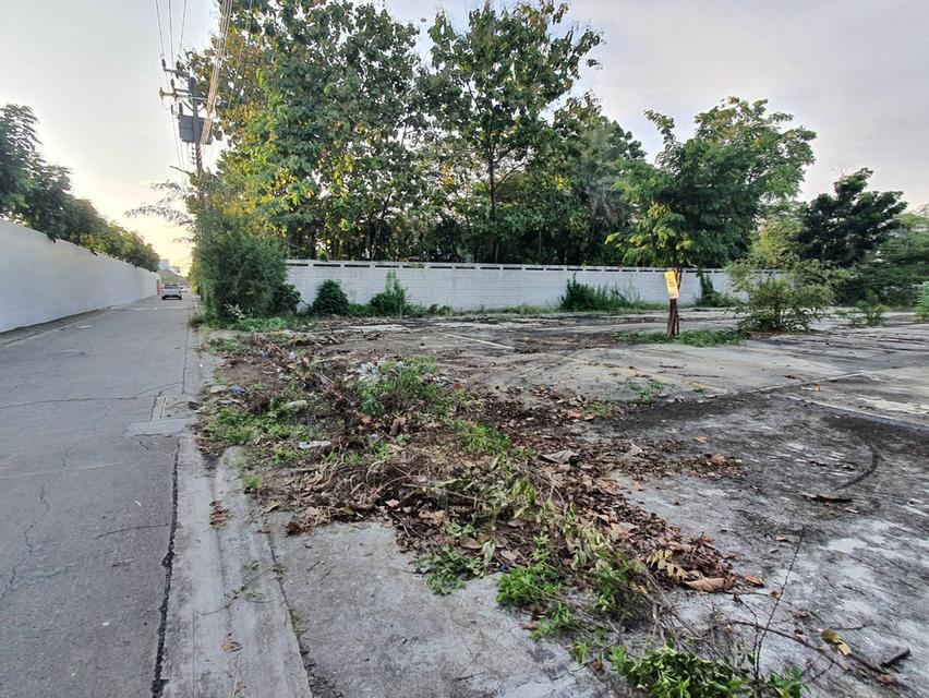 ขายที่ดิน 1 ไร่กรุงเทพกรีฑา, กรุงเทพ 8