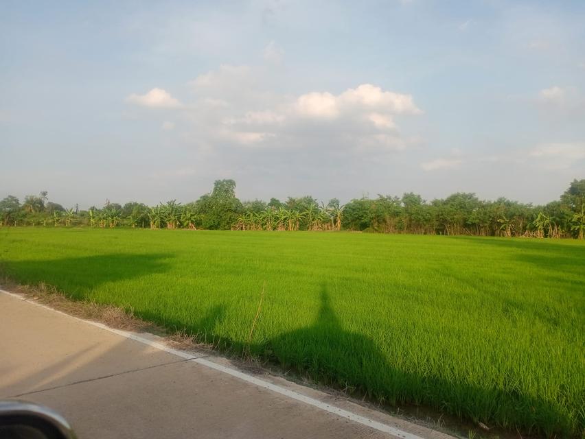 ขายที่ดินท่าไข่ แปดริ้ว 4 ไร่ ซอยวัดนิโคธาราม ใกล้สถานีรถไฟความเร็วสูง เมืองฉะเชิงเทรา 2