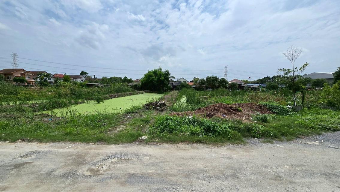 ขายด่วนที่ดินทวีวัฒนา 358 ตรว ติดถนนหินคลุก ซ.ทวีวัฒนา-กาญจนาภิเษก 24 กทม. 1