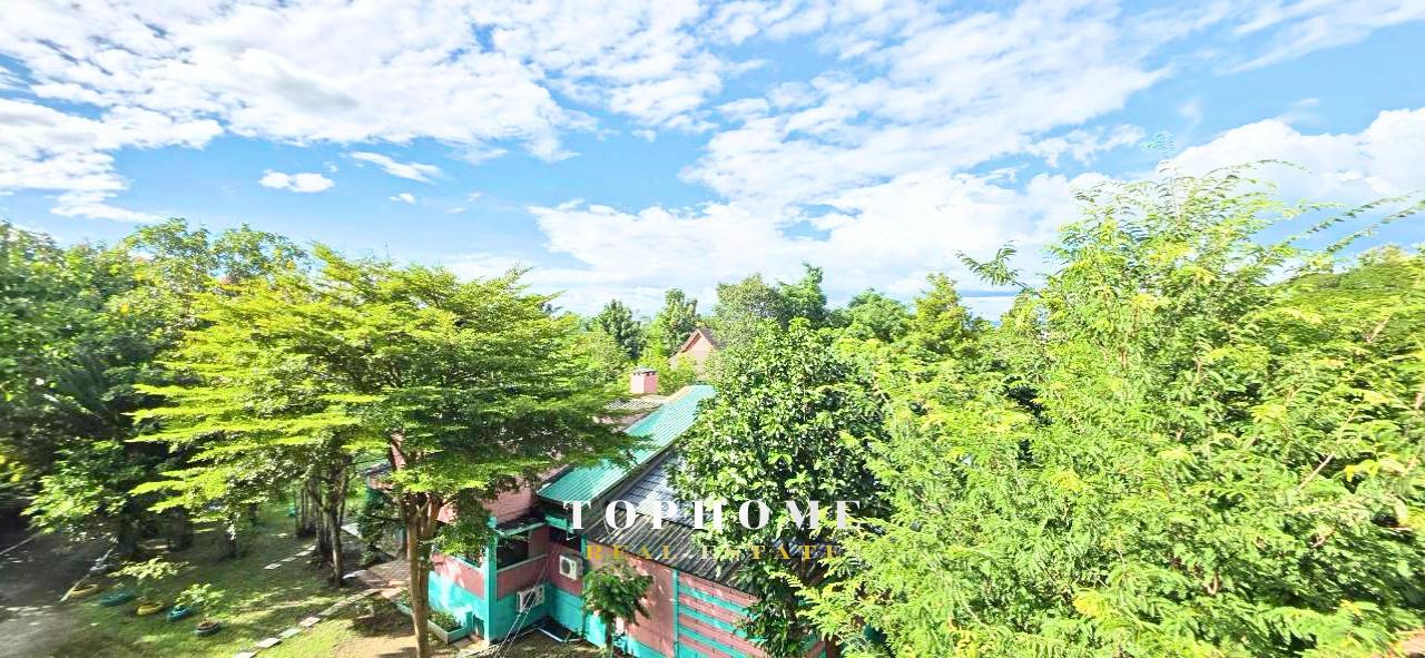 ขายด่วน! บ้านพร้อมที่ดิน และรีสอร์ท รสธร โฮมสเตย์ เชียงใหม่ 7