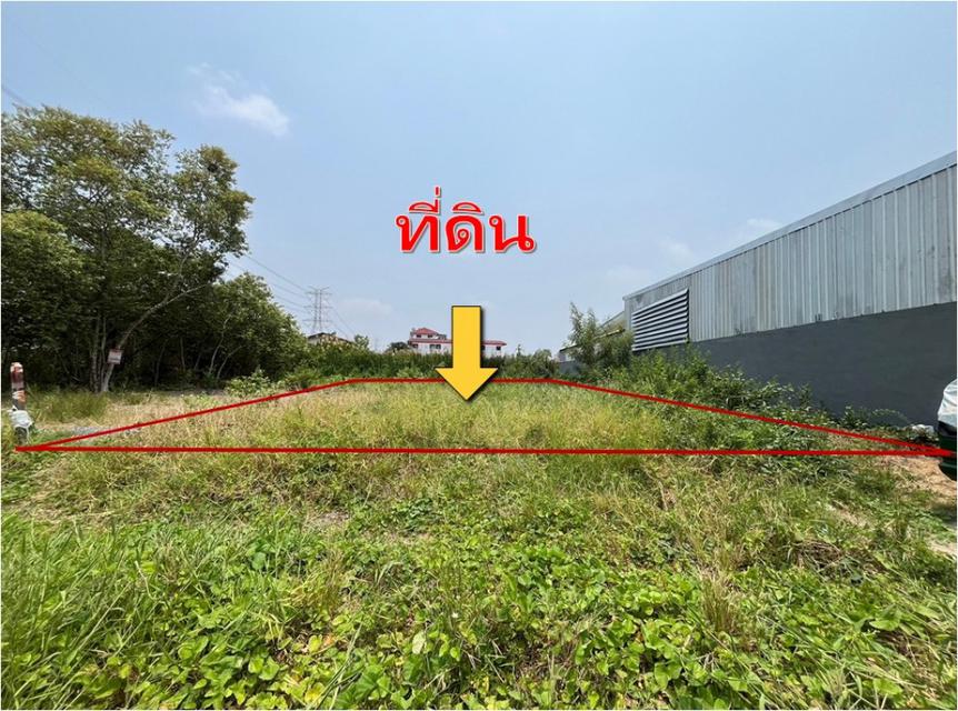 ขาย ที่ดิน 100 ตรว พุทธมณฑล สาย 3 แยก22 เข้าซอย 250ม เหมาะ บ้าน โกดัง 4