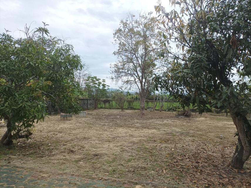 ขายบ้านพร้อมที่ดิน ต.สง่าบ้าน อ.ดอยสะเก็ด จ.เชียงใหม่ 6