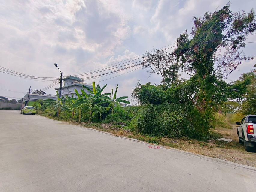 ขายด่วนที่ดินใกล้โรบินสัน ศรีสมาน 200 ตรว ติดถนน3ด้าน ซ.ศรีสมาน 5 บ้านใหม่ ปากเกร็ด 5