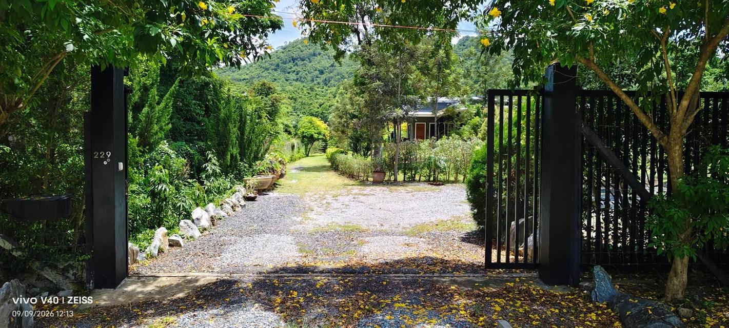 ขายที่ดินพร้อมบ้านเขาใหญ่ ปากช่อง 1.5 ไร่ หนองน้ำแดง ใกล้ถนนธนะรัชต์ มอเตอร์เวย์ M6 ห้างแม็คโคร วิวเขาสวยล้อมรอบที่สูงน้ำไม่ท่วม ใกล้โรงพยาบาล ตลาด 16
