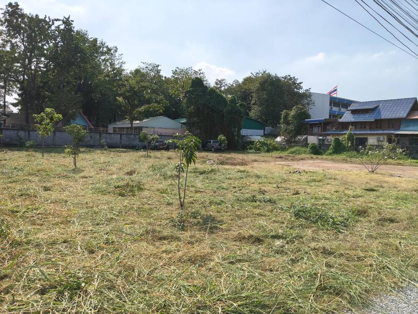 ขายที่ดิน 371 ตร.ว. ติดโรงเรียนสวนกุกลาบนนทบุรี 10