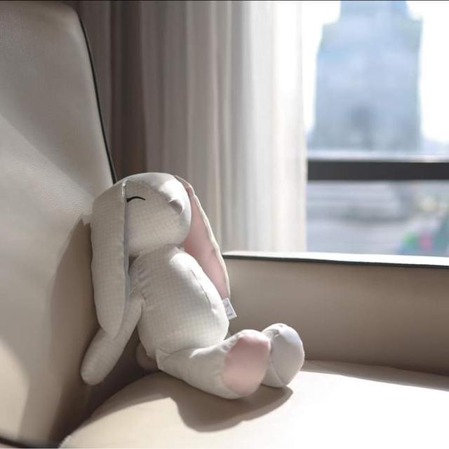 ตุ๊กตากระต่าย EVOLI Baby Huggable Bunny 3