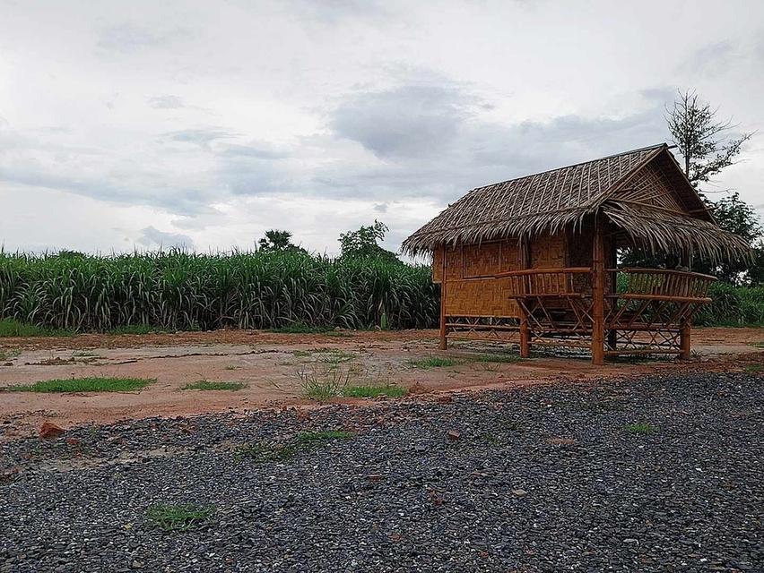 #ขายที่ดินเปล่าเมืองกาญจนบุรี 50 ตร.ว. ต.หนองประดู่ อ.เลาขวัญ จ.กาญจนบุรี  ฉโนดครุฑแดง พร้อมโอน 4