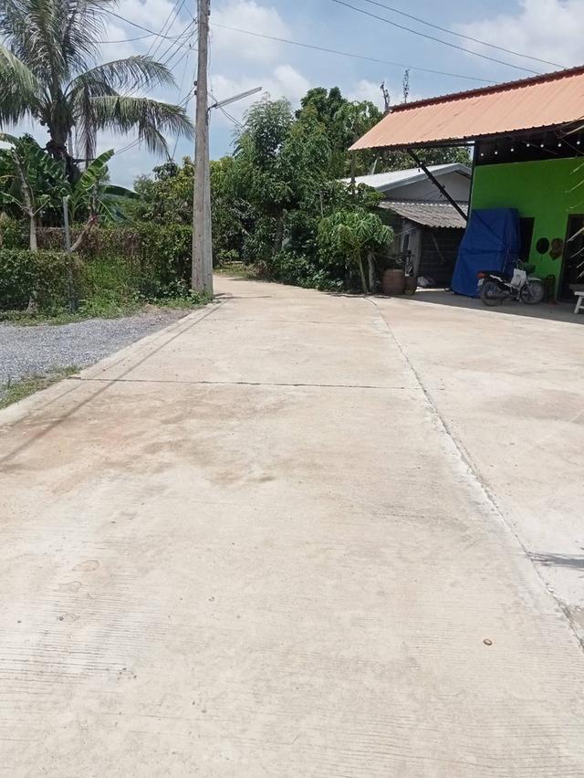 ขายบ้านพร้อมที่ดิน 100 ตรว ต.ตาลเดี่ยวทางเข้าโรงเรียนวัดนาบุญ ห่างถนนแก่งคอยบ้านนา 1.2 กม ขาย 6.5 แสน 14