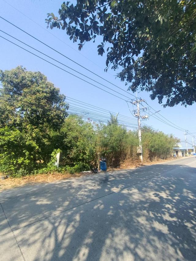 ขายที่ดิน 10 ไร่ ที่หน้าติดถนนคลอง6  รังสิต-ปทุมธานี 3