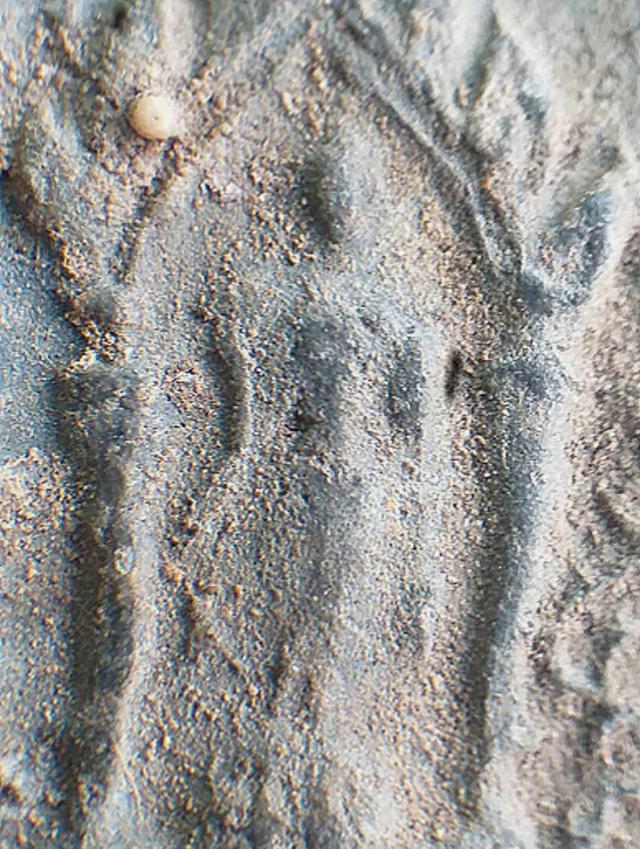 พระพุทธบาทปิลันทน์.. รูปที่ 6