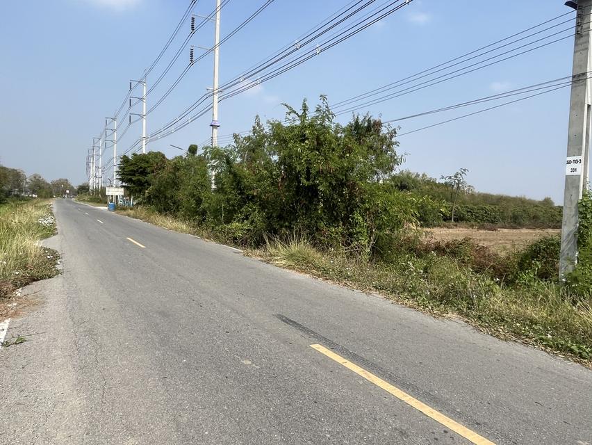 ✨ขายที่นา ทำเลทอง 10 ไร่ ติดถนนใหญ่ + คลองชลประทาน – ต.ย่านยาว อ.สามชุก จ.สุพรรณบุรี✨ 6