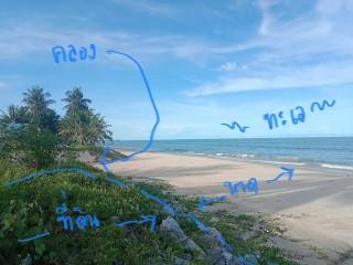 ที่ติดทะเล1 ไร่ 3 ล้านหาไม่ได้แล้วจ้า 2