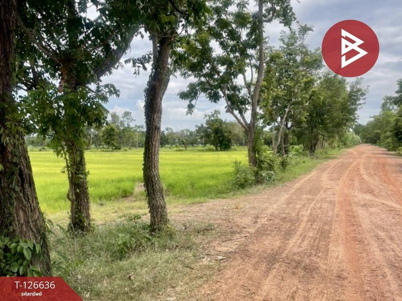 ขายที่ดิน เนื้อที่ 21 ไร่ 3 งาน 13.0 ตารางวา อำเภอเฉลิมพระเกียรติ บุรีรัมย์ 5