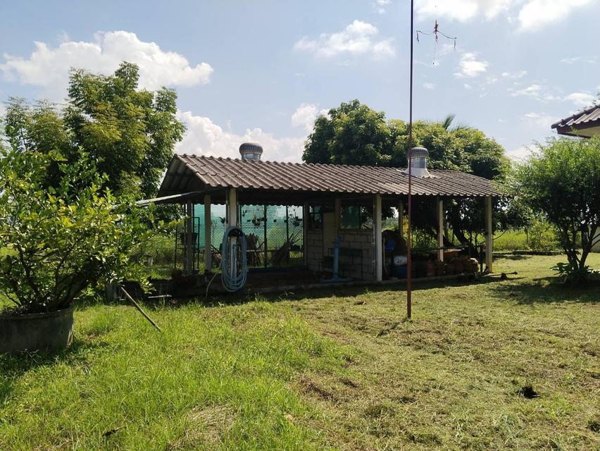 🏡ขายที่ดินพร้อมบ้านสวน พร้อมเข้าอยู่ 👩‍🌾👨‍🌾  📍ตำบล สง่าบ้าน อำเภอดอยสะเก็ด จังหวัดเชียงใหม่ 2