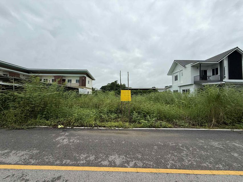 ขายที่ดินกลางเมืองบ้านดู่เชียงราย 1