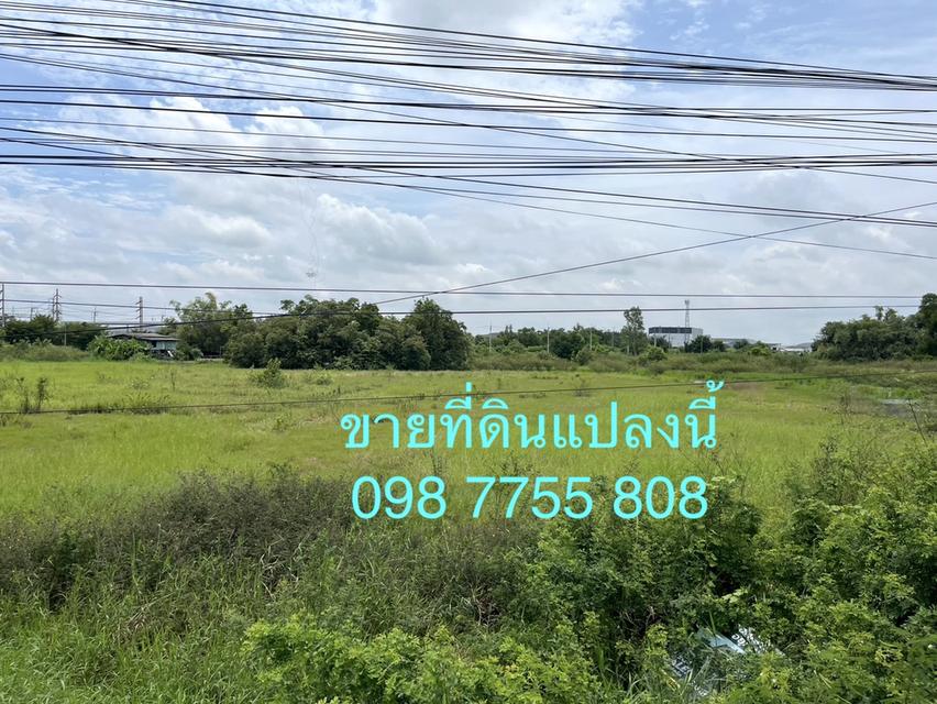 ที่ดิน 8 ไร่ ติดถนนสายเอเชีย 85 เมตร หน้านิคมไฮเทค บางปะอิน 098 7755 808 5