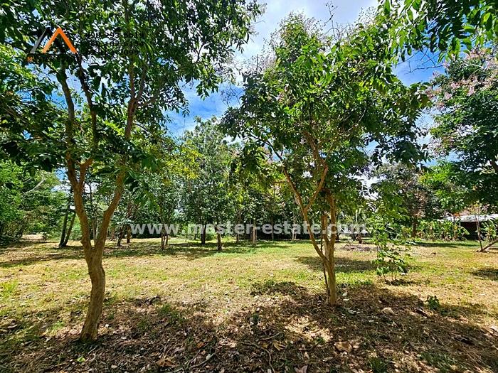 ที่ดินกาญจนบุรี 8-1-23 ไร่ พร้อมเรือนไทย + ร้านอาหาร + บึงบัว + บ่อปลาคราฟ และสิ่งปลูกสร้าง ร่มรื่น พร้อมดำเนินกิจการต่อ ห่างจากมอเตอร์เวย์ 6 กม.  18
