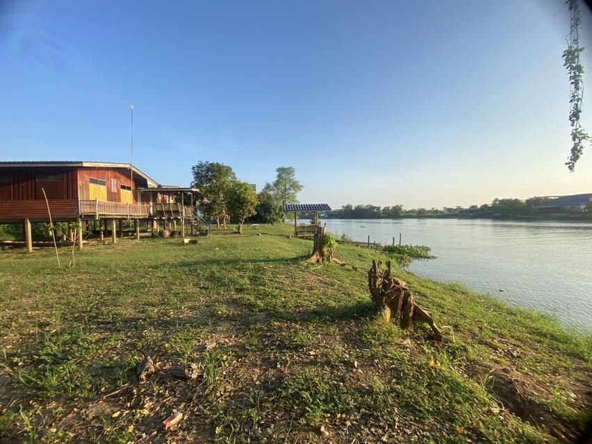 ที่ดินผืนงามริมแม่น้ำเจ้าพระยา – อัญมณีแห่งบางปะอิน 6