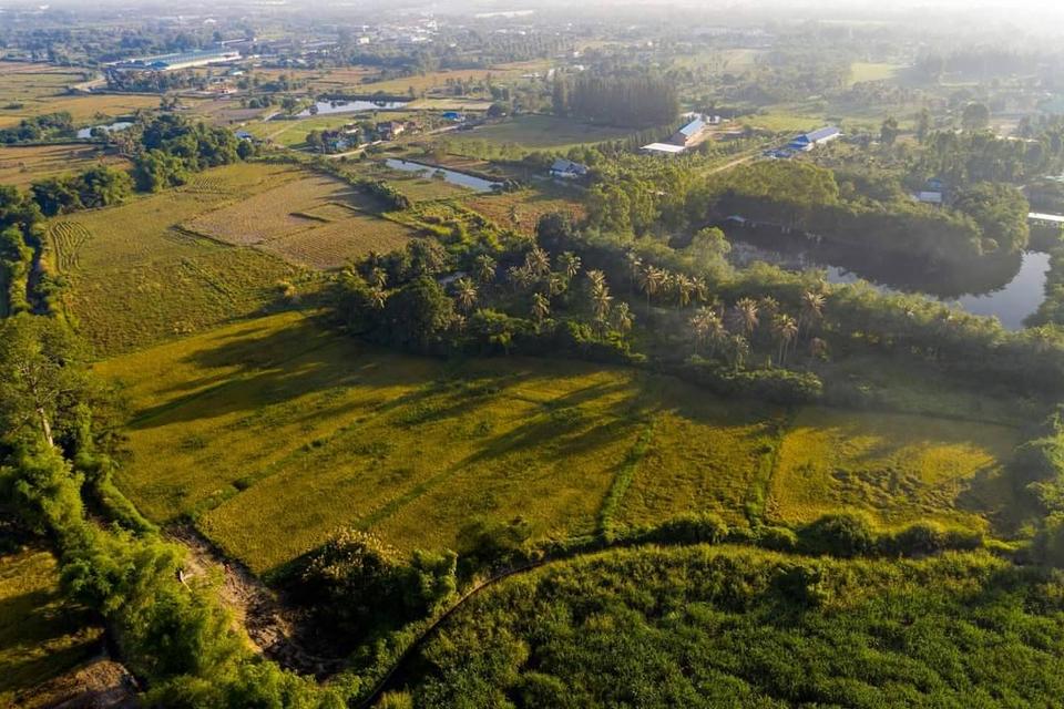 ที่ดินสวยวิวเขาหนองรี 12