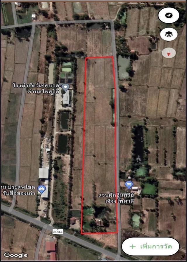 ที่ดิน29ไร่1งาน68ตรว. จ.นครสวรรค์ อ.ไพศาลี 5