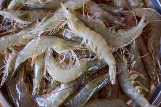 ขายกุ้งขาว ไซส์เล็ก -ไซส์ใหญ่ 3