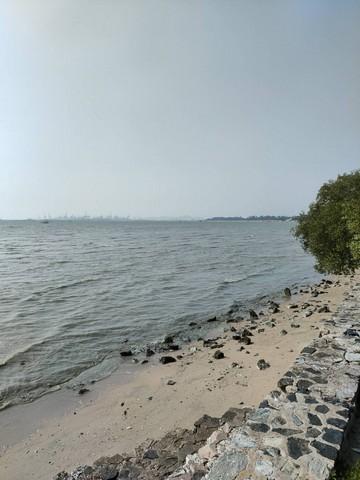 ขายที่ดินแปลงสวยเป็นชายหาดส่วนตัว ติดทะเลพัทยา (หาดกระทิงลาย) พร้อมที่ดินงอก ชลบุรี 1