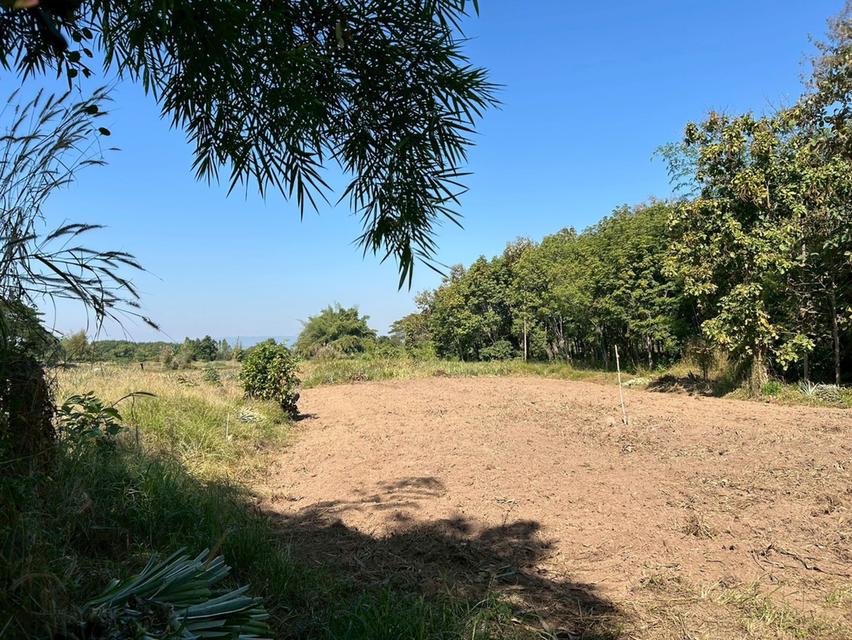 ขายที่ดินถูกกว่าราคาประเมิน 13