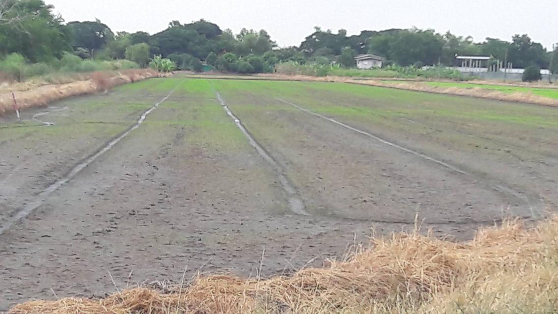 āļāļĩāđāļāļīāļāļāļģāđāļĨāļāļāļ āļāļāļēāļāļāđāļāļĨ āđāļāļĨāđāļĻāļđāļāļĒāđāļĢāļēāļāļāļēāļĢāļāļąāļāļŦāļ§āļąāļāļāļāļļāļĄāļāļēāļāļĩ 7