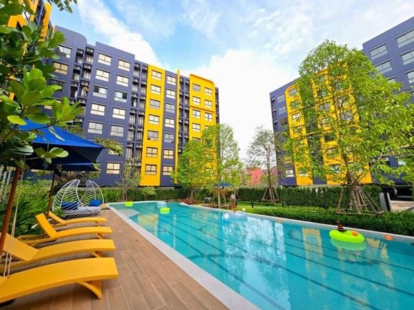 Dcondo Shine Rangsit คอนโด ใกล้ ม.ธรรมศาสตร์ พร้อมอยู่ แต่งครบ โทร 065-4496399 1