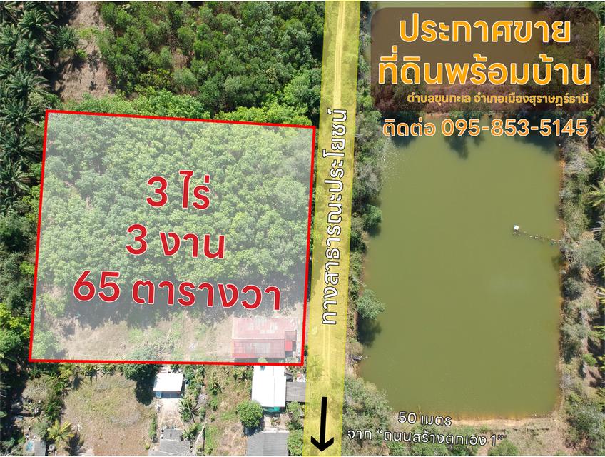 ขาย ที่ดินสวนยางพร้อมบ้าน ตำบลขุนทะเล สุราษฎร์ธานี 3 ไร่ 3งาน 65 ตารางวา 2