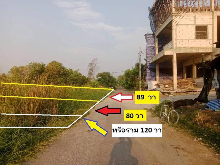 ขายที่ดินสร้างบ้านสวยจริง พหลโยธิน 54/1แยก 8-4-3 ซอยตาลเดี่ยวหลายแปลงแปลงนี้ 89 วา มุมอย่างสวยพึ่งเปิดขายเก่าเก็บแปลงนี้สนใจโซนนี้ตอนนี้ซื้อได้เลยกำไร 1