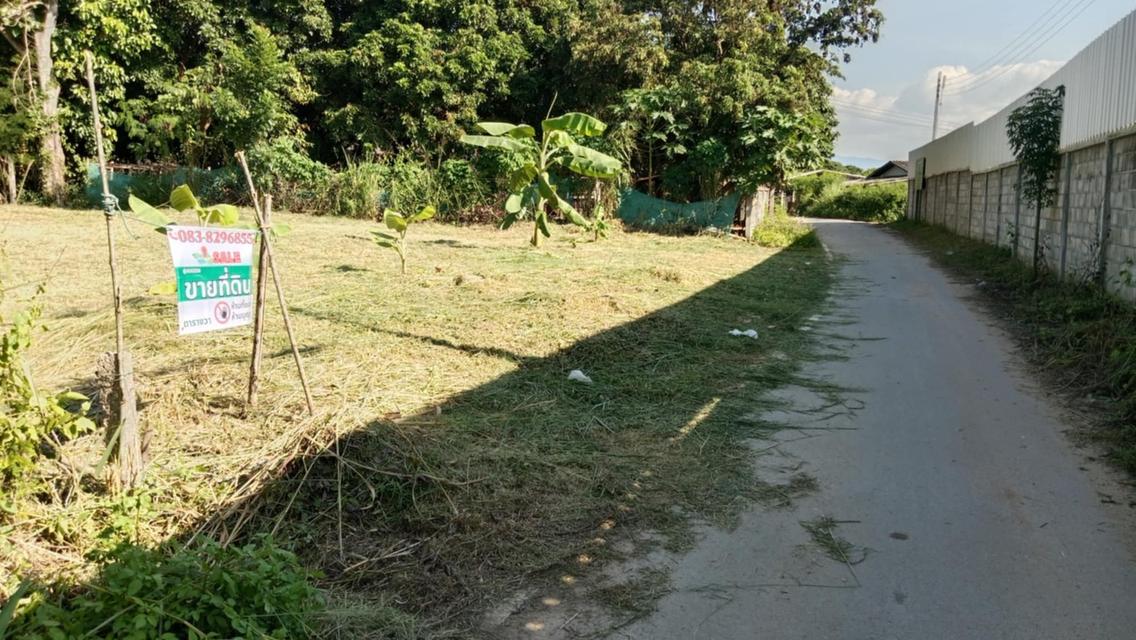 📣 โอกาสทอง! ที่ดินเกือบ 2งาน 270,000บาท ทำเลดี อ.เมืองลำพูน ราคาสุดคุ้ม! 🏡✨ 6