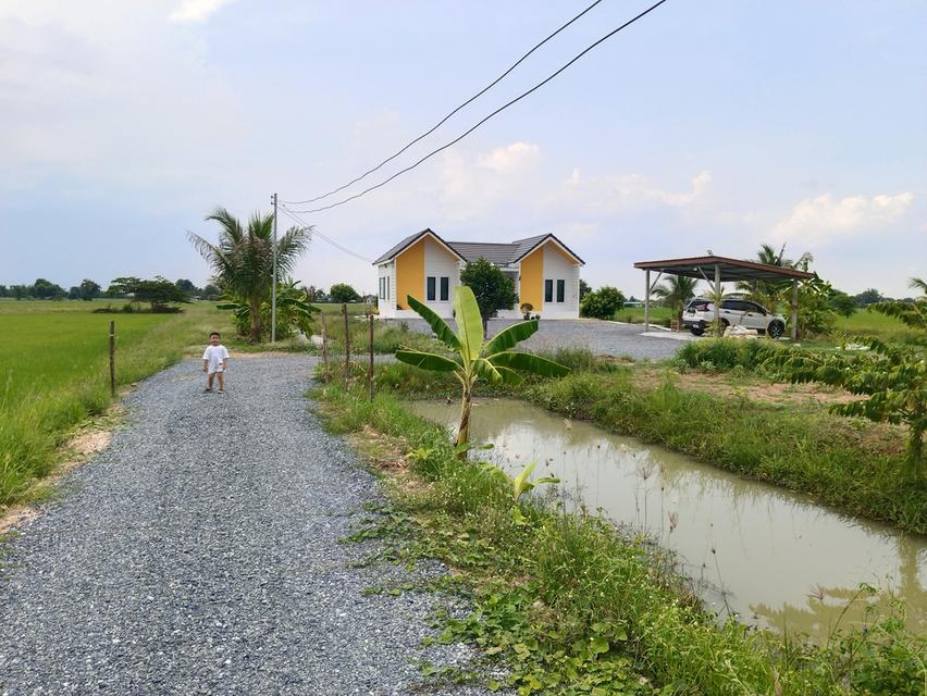 บ้านพร้อมที่ดิน 2ไร่2งาน80ตารางวา 4