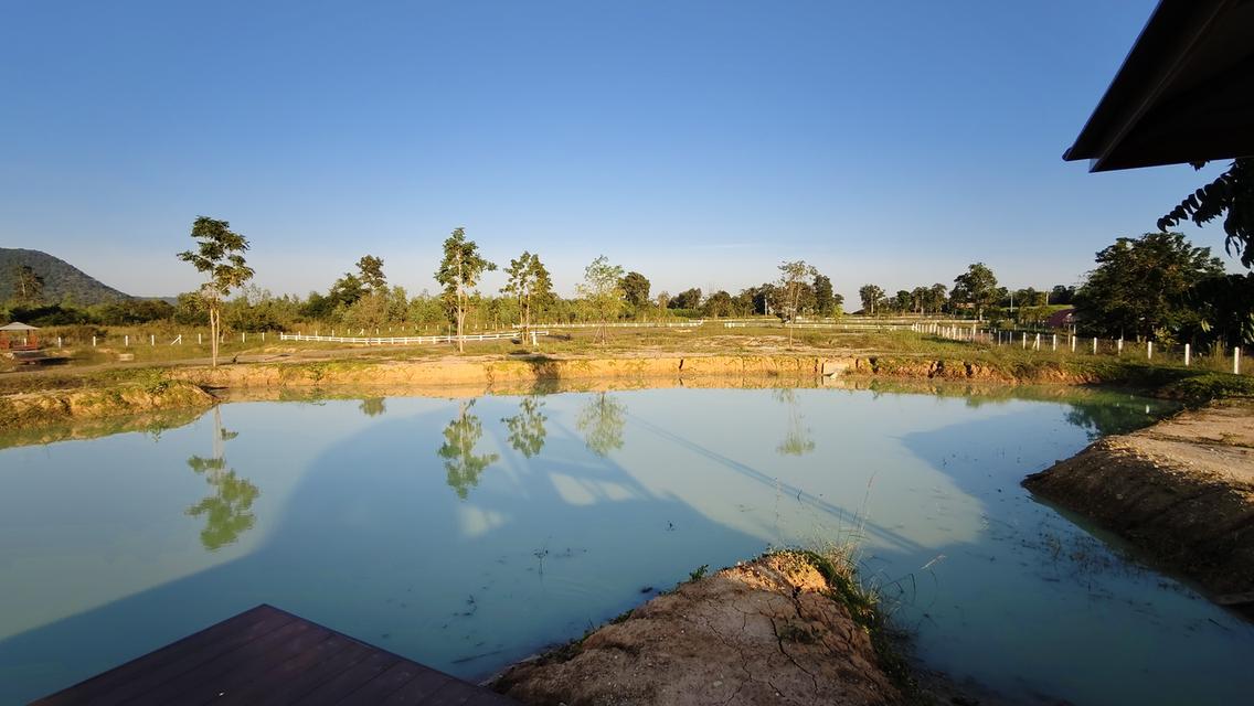 ที่ดิน " วิวภูเขา " อากาศดี ใกล้วังน้ำเขียว ใกล้ทางหลวง 304 วิวภูเขาลอมรอบ ภูหลวง ปักธงชัย นครราชสีมา มีให้เป็นเจ้าของอีก 5 แปลง เท่านั้น 8