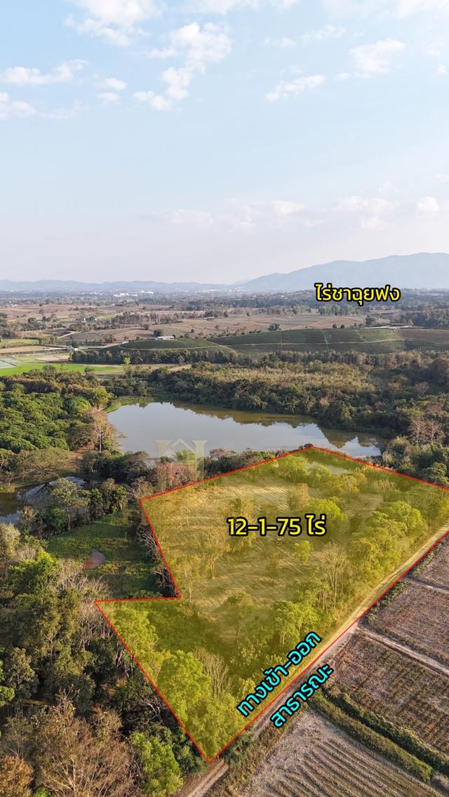 ประกาศขายที่ดิน ทำเลศักยภาพ ใกล้ไร่ชาฉุยฟง ตำบลศรีค้ำ อำเภอแม่จัน จังหวัดเชียงราย 57110 8