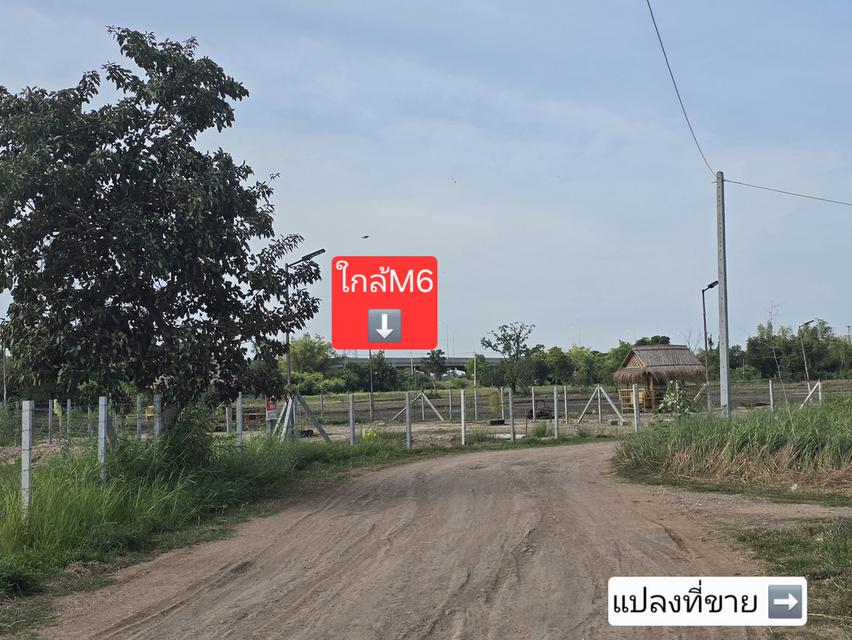 🍀 ขายที่ดินโคราช ใกล้จุดขึ้นลงมอเตอร์เวย์ M6 เพียง 7 นาที 3