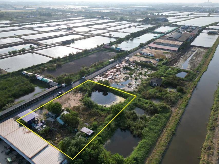 ที่ดินเปล่าสีม่วงต.บ้านระกาศอ.บางบ่อ 1