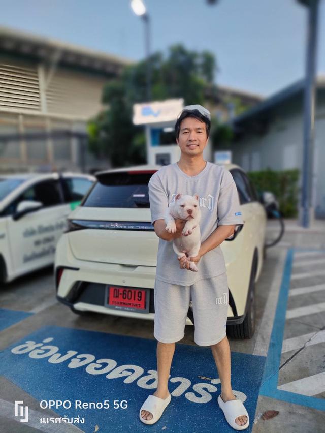 🐶 #บริการรับส่งสุนัขและแมวเท่านั้นทั่วไทยมีรถทุกวัน 📲 0867441143 นเรศ ID LINE : 0867441143 รับลงเครื่องส่งอยู่ต่างจังหวัดเดินทางด้วยรถไฟฟ้าแยกบล็อค รูปที่ 4