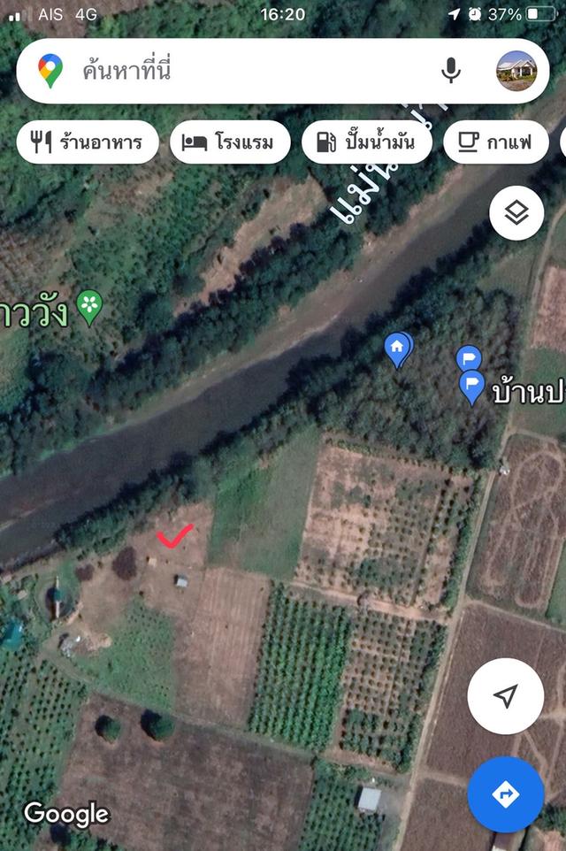 ขายสวนไม้สักติดแม่น้ำน่านกว้าง120เมตร 12