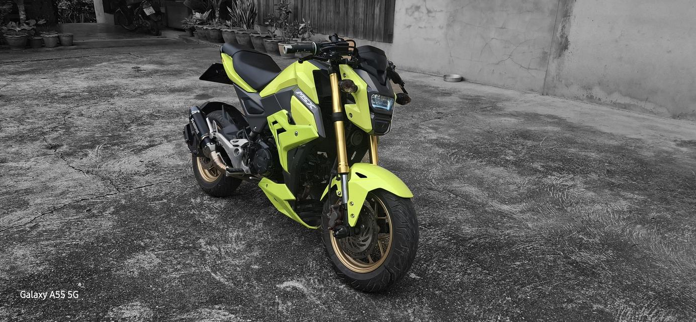 Msx125 sf 2016 1