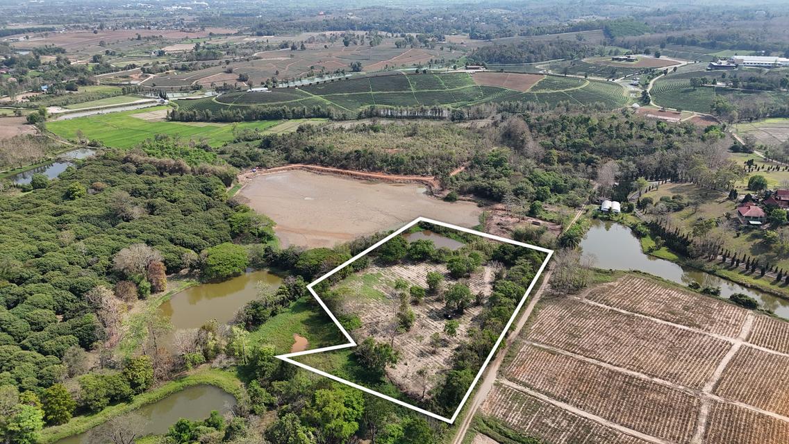 ประกาศขายที่ดิน ทำเลศักยภาพ ใกล้ไร่ชาฉุยฟง ตำบลศรีค้ำ อำเภอแม่จัน จังหวัดเชียงราย 57110 6