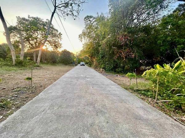 L895 ขายที่ดินริมน้ำเจ้าพระยา สามโคก ปทุมธานี 582 ตร.ว สร้างเขื่อนแล้ว ถมแล้ว ติดถนน ใกล้รถไฟฟ้า ราคาพิเศษ 26,890,000 บาท 6