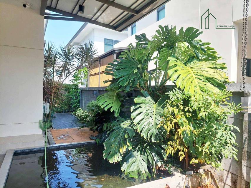 บ้านเดี่ยว The City บรมราชชนนี-ทวีวีฒนา ตกแต่งแต่งสวย พร้อมอยู่ 16