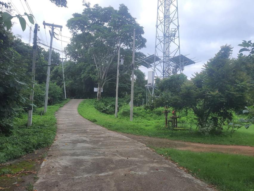 บ้านพร้อมที่ดิน อ.ปาย จ.แม่ฮ่องสอน