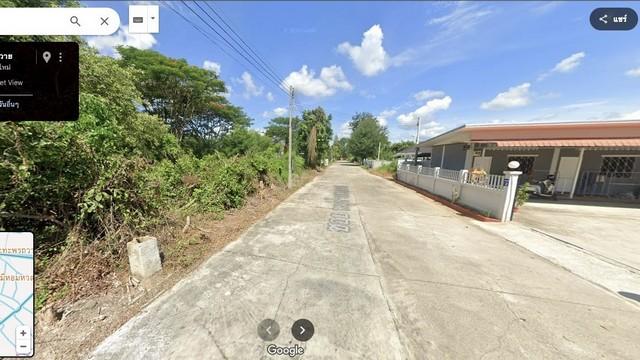 ขายที่ดิน 50 ตรว อำเภอหางดง จ.เชียงใหม่ แยกเส้นบ้านถวายออกมาประมาณ 300 เมตร ที่ดิน ผ่อนตรงเจ้าของ 4