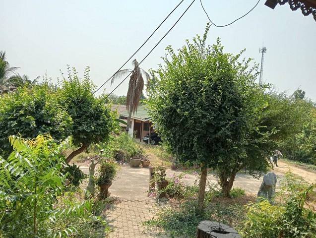 ขายที่ดิน ท่ามะกา กาญจนบุรี 7-2-33 ไร่ ที่ดินสวย ใกล้แหล่งท่